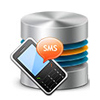 Campagnes SMS